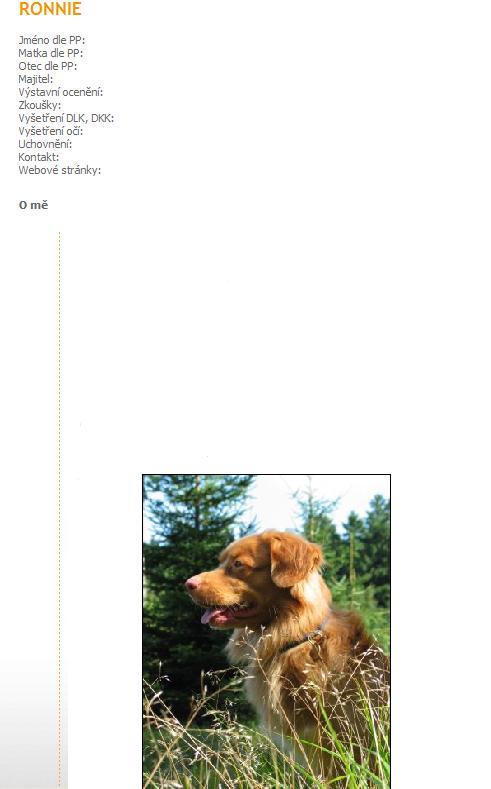 Šablona profilu - Nova Scotia duck tolling retriever